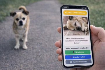 Vermisster Hund gefunden mit KeyTag